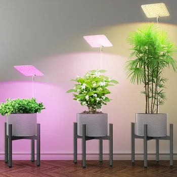 Светодиодный светильник для выращивания растений с регулируемой яркостью Лампы для выращивания комнатных растений полного спектра Хронометраж для выращивания гусиной шеи Растительный светильник